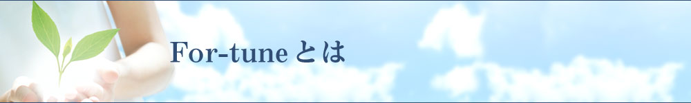 For-tuneとは